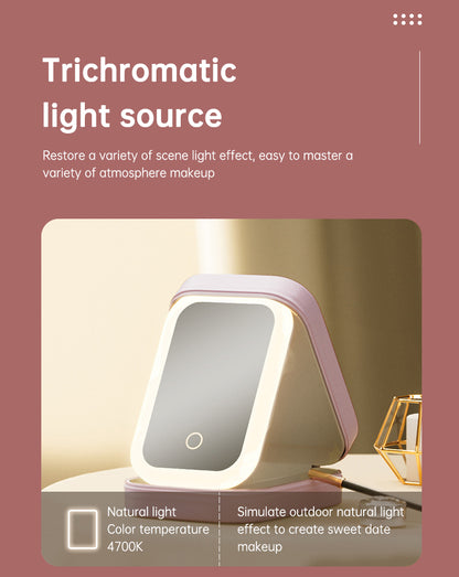 Personalized Birth Flower PU Leather Jewelry Box with LED Makeup Mirror Birthday Gift for Her